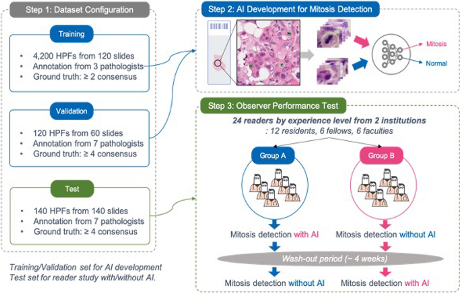 Flow chart of the methodology and datasets employed in developing and validating an AI-based tool to quantify mitoses in breast carcinoma. (Source: Pantanowitz, Hartman, Qi et al, 2020)