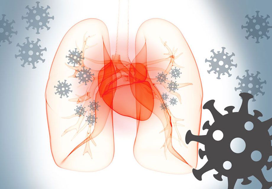 The hunt is on to find the drugs that inhibit the SARS-CoV-2 molecules that elevate the risk of heart attack and stroke