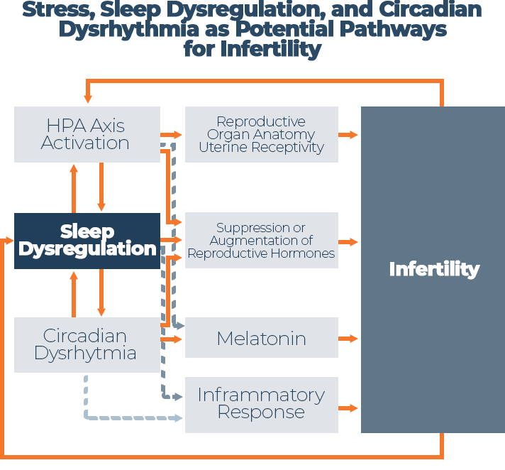 Stress, sleep dysregulation, and circadian dysrhythmia as potential pathways for invertility. Source: Sleep Advisor