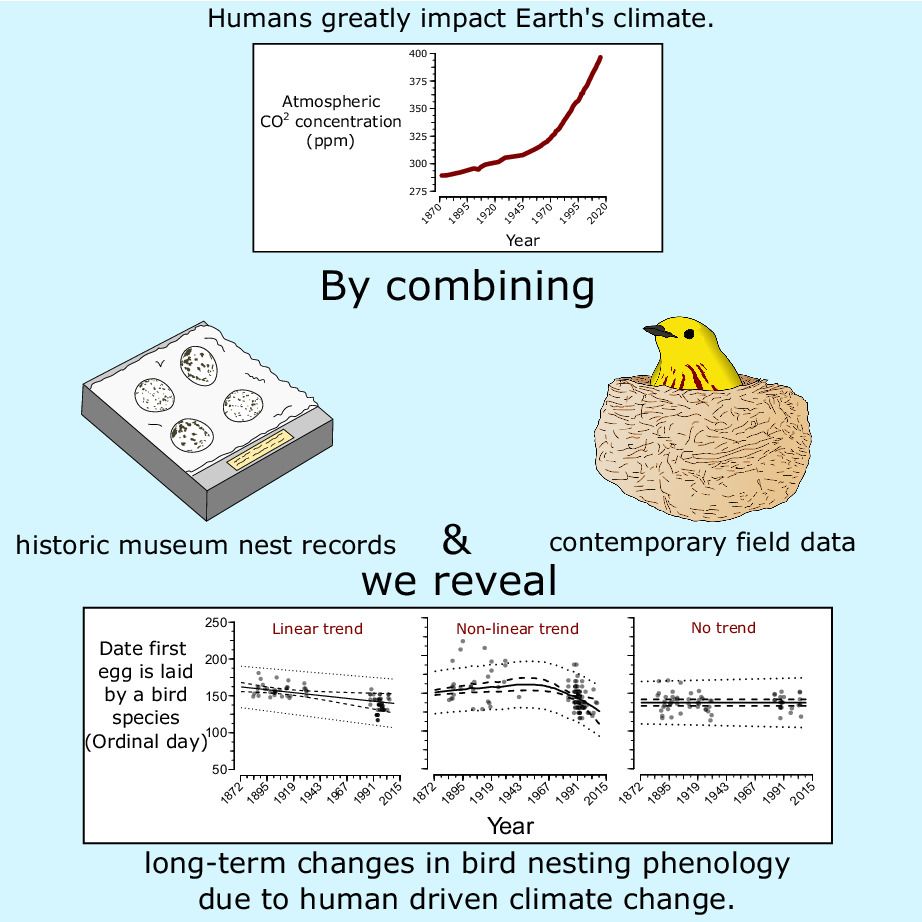 Emissions, birds and nesting. As the climate started warming birds started nesting earlier. Fidino, Nowak-Boyd, Strausberger, et al, 2022.