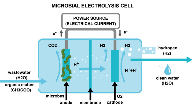 Schematic of a microbial electrolysis cell for treating wastewater to produce hydrogen, adapted from Fudge et al., 2021.
