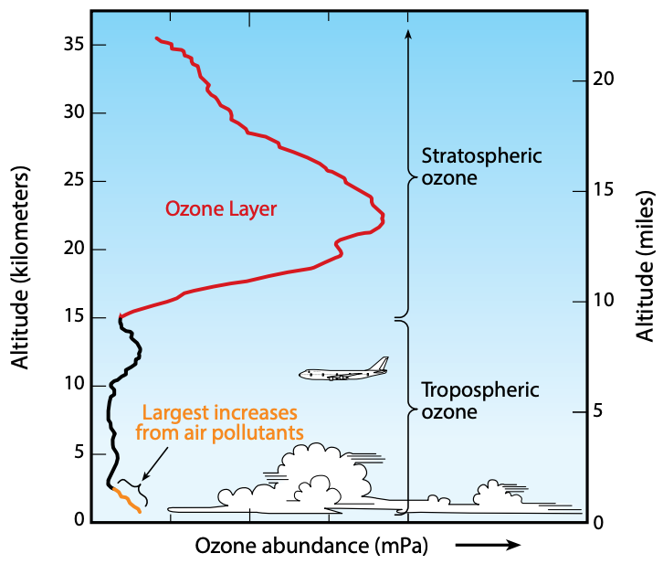 Changes in ozone levels with altitude in the tropics. Most ozone resides in the stratoshperic ozone layer (red line) and the vertical extent or thickness of this layer varies from region to region and with the changing seasons. Source: United Nations Enrvironment Programme
