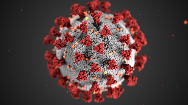 How many strains are there of the current COVID-19 virus?