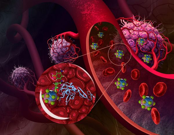 Honey, I shrunk the nanogel to kill tumours!