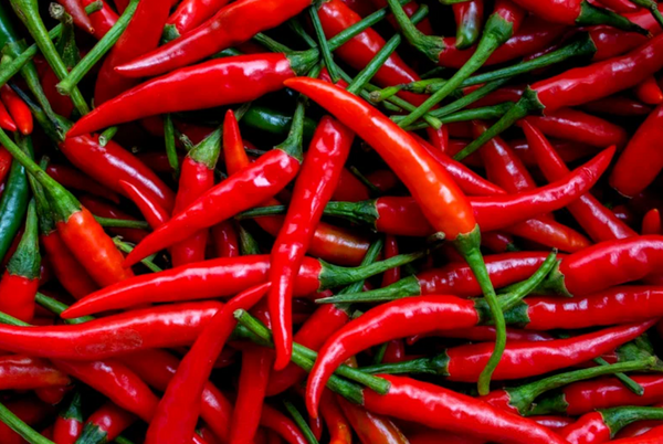 Chillies deliver spicy kick against lung cancer