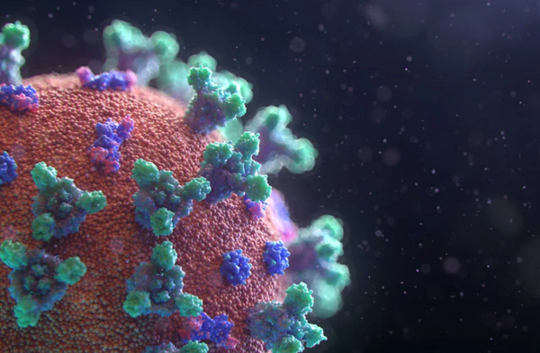 COVID-19 FAQ: Can the virus get weaker over time?