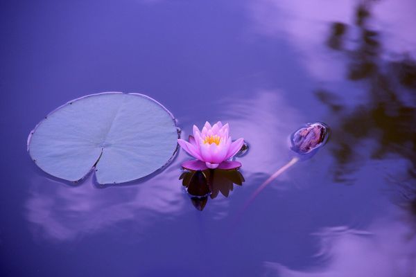 Menopause: being mindful helps women transition gracefully