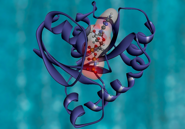 A trial-and-error process for folding proteins correctly