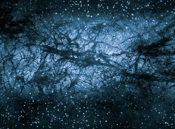 The pull of the 'Dark Side' – new dark matter candidate offers exciting theory