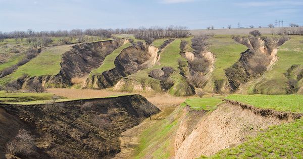 Carbon storage through soil erosion control using cover crops