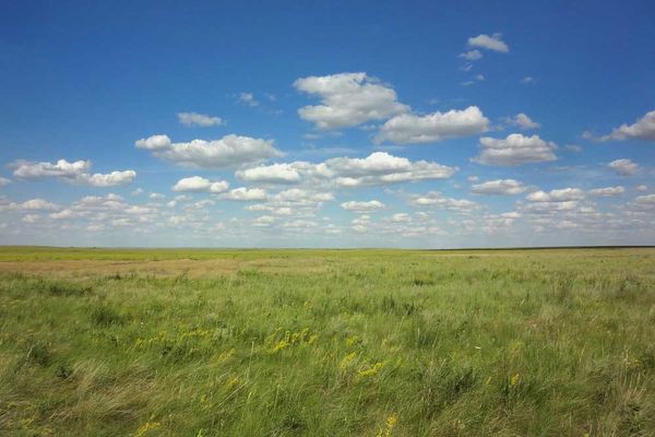 Ooops, grasslands can be carbon emitters too