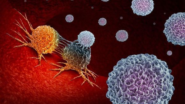 Younger adults may need different cancer immunotherapies