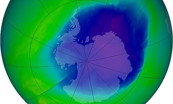 From victim to perpetrator: how ozone harms the ocean’s climate cooling ability