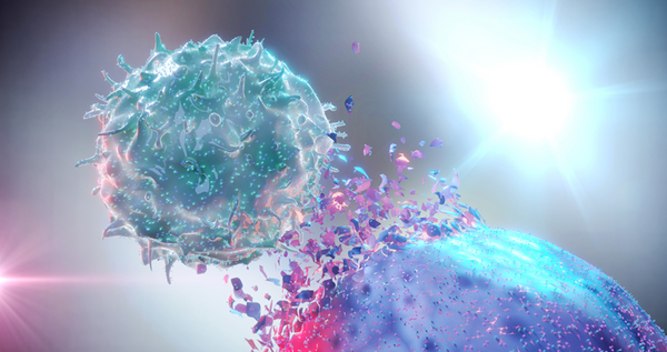 Immunity vs. Cancer:  fewer side effects with natural killer cells?