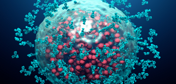 Take note, tumors – a new method adds superpowers to cancer-fighting immune cells!