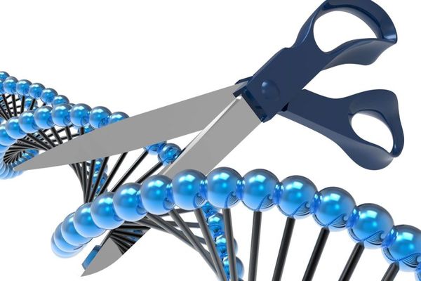 CRISPR is Leveling Up Cancer Treatments