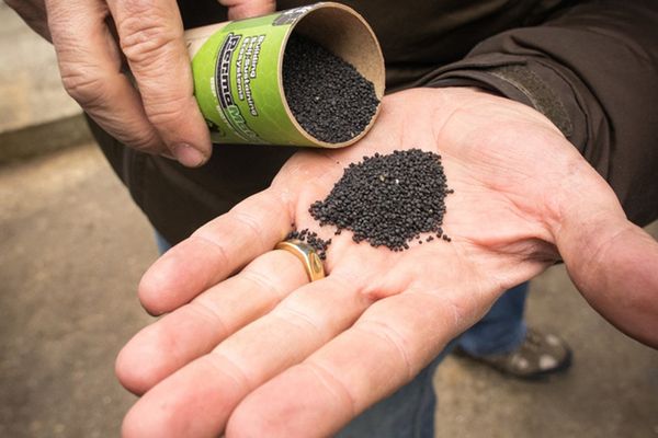 No Laughing Matter: How can Charcoal Help Tame a Greenhouse Gas?