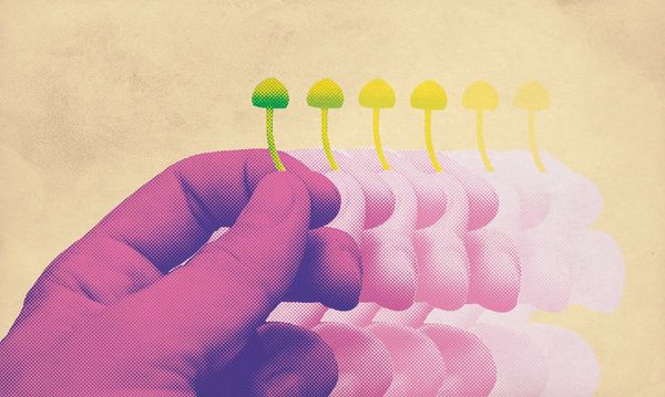 Microdosing with Psychedelics: Fad or Hope?