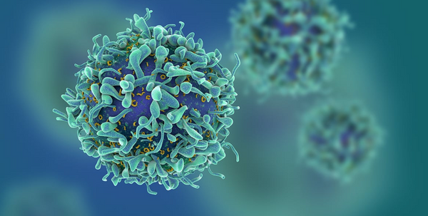 Can We Prevent Cancer-Attacking T Cells From Burning Out?